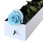 Baby Blue Preserved Rose Stem