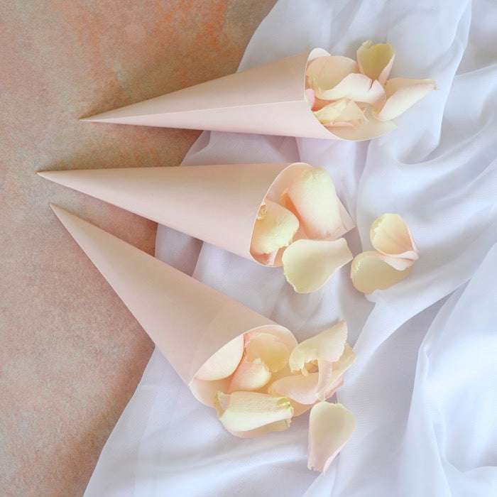 Palest Pink Dried Rose Petals with Pink confetti Cones for weddings by Petals & Roses