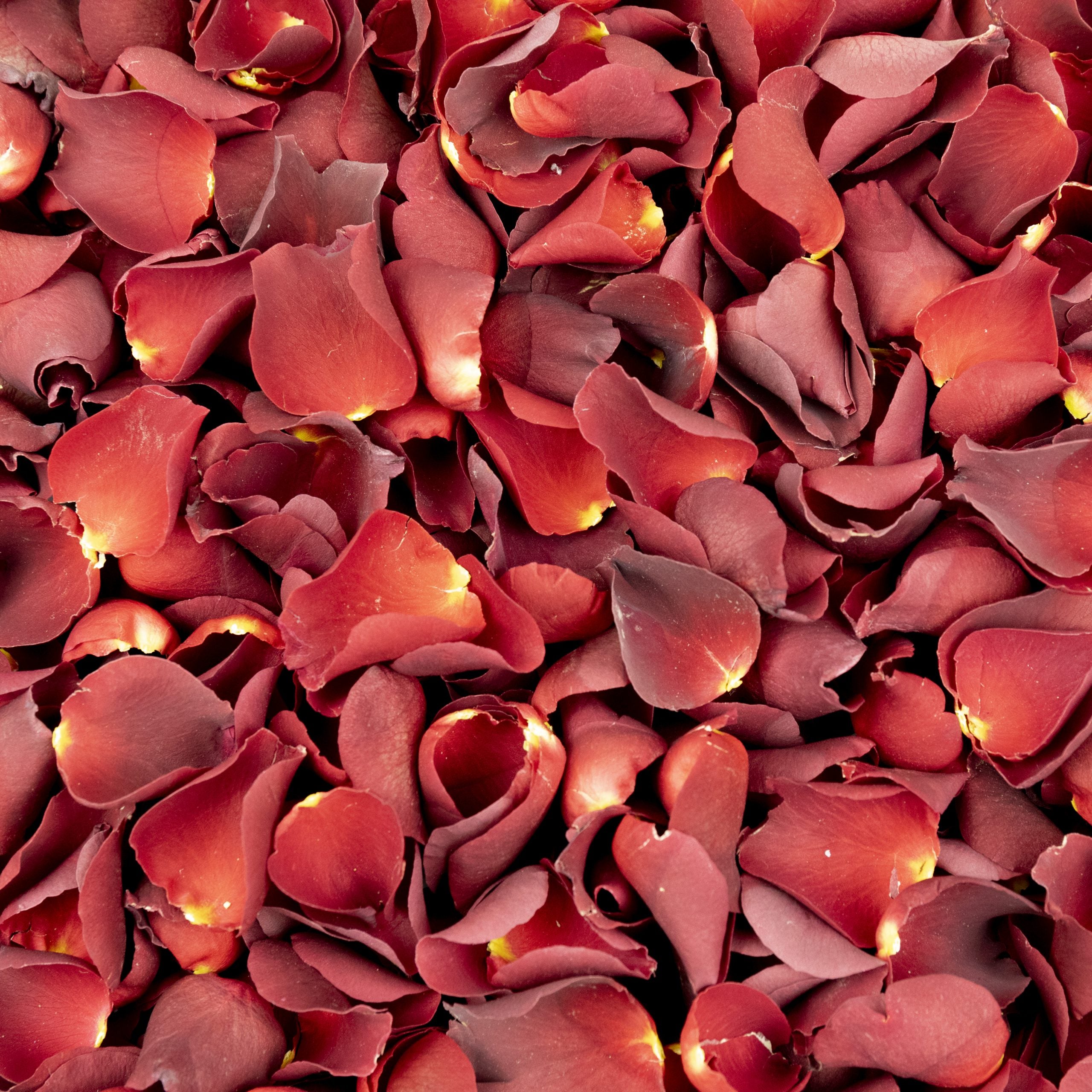 Romantic Red Freeze Dried Rose Petals