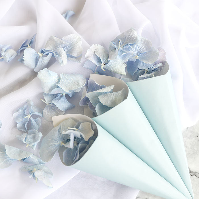 Freeze Dried Sky Blue Hydrangea with Blue Confetti Cones