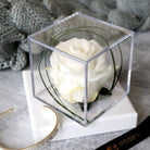 Petals and Roses Preserved Rose Cube in White