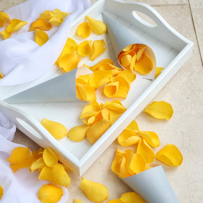 Yellow Dried Rose Petals with Grey confetti Cones for weddings by Petals & Roses