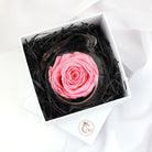 Petals and Roses Pink Preserved Rose Bauble Gift with White Luxury Gift Box