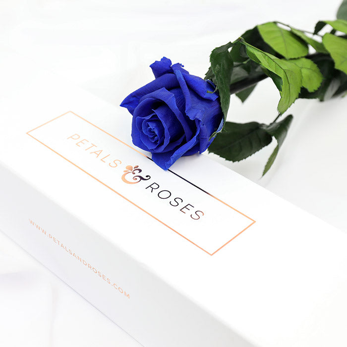 Preserved Infinity Blue Single Rose Stem Gift