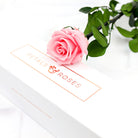 Real Pink Eternal Rose Stem in a luxury gift box gift