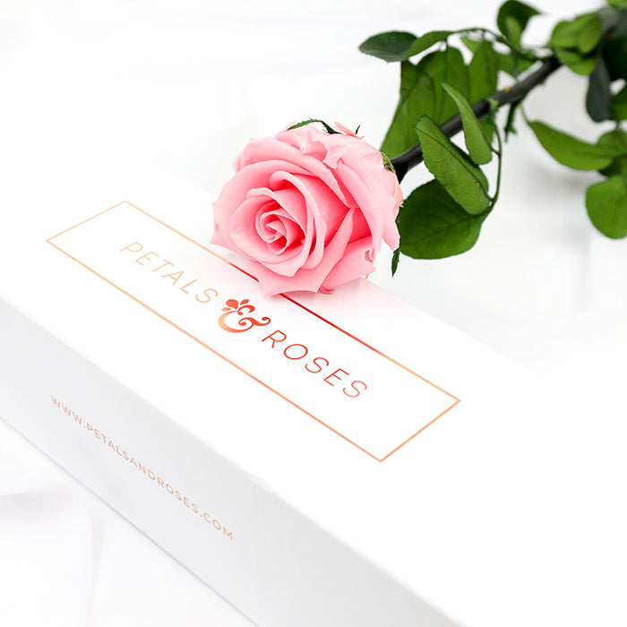 Real Pink Eternal Rose Stem in a luxury gift box gift