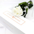 Preserved White Single Rose Stem in luxury gift box