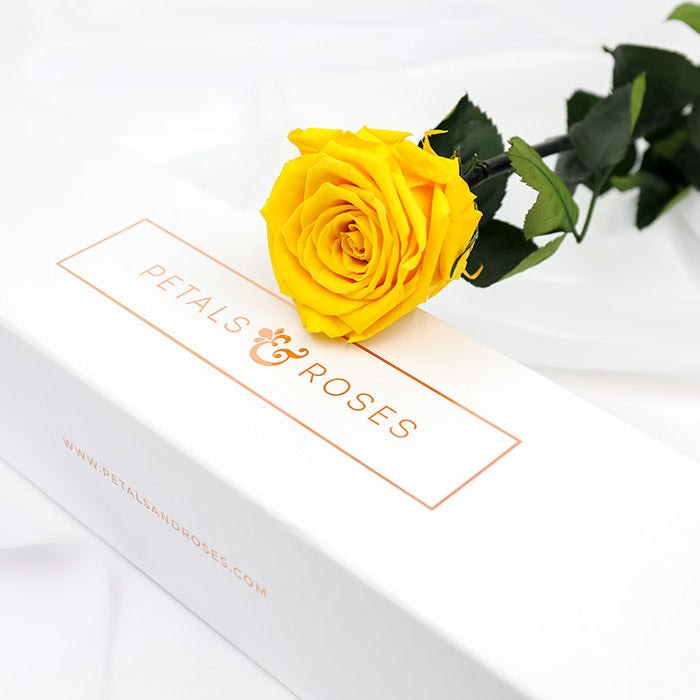 Yellow Preserved Rose Stems