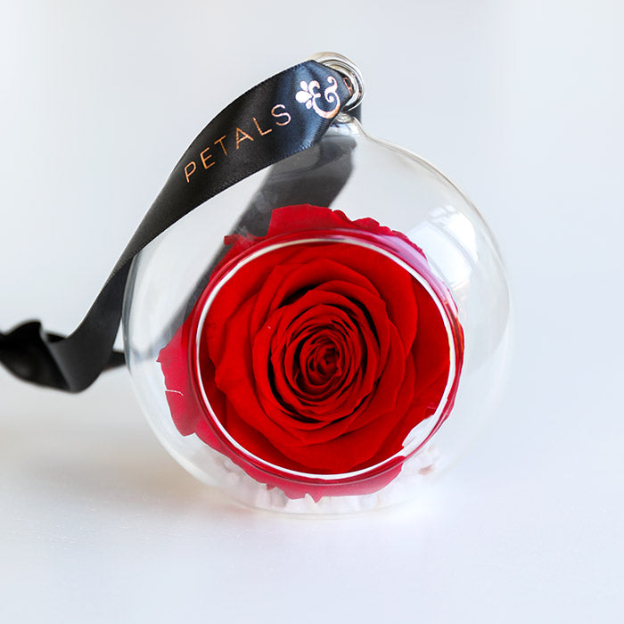 Timeless everlasting red preserved rose glass bauble with luxury black ribbon with rose gold detail