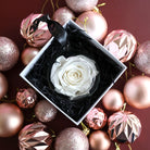 Real White Preserved Rose in a Hanging Bauble