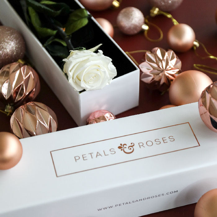 Real Preserved Single Rose Gift in a Luxury Gift Box