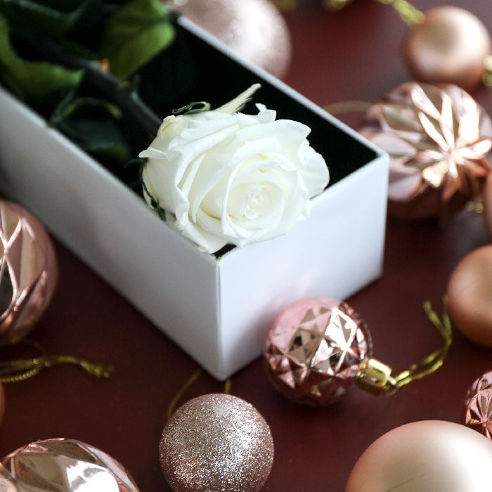 Real Preserved Single Rose Gift in a Luxury Gift Box