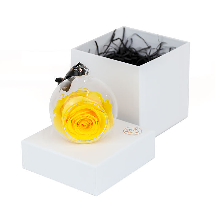 Petals and Roses Yellow Preserved Rose Bauble Gift with White Luxury Box