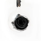 Petals and Roses Black Preserved Hanging Rose