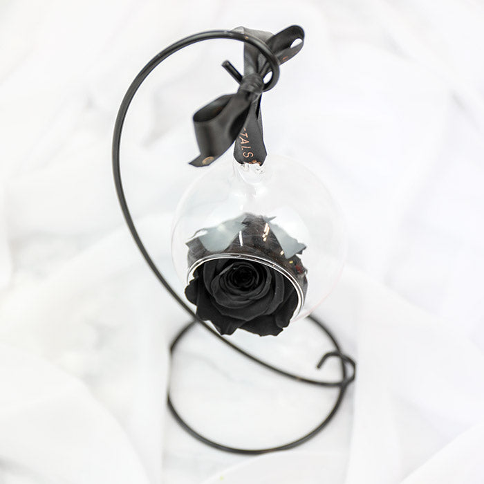 Black Hanging Preserved Rose with Stand – Petals and Roses