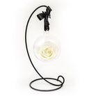 Petals and Roses Preserved Hanging Rose White