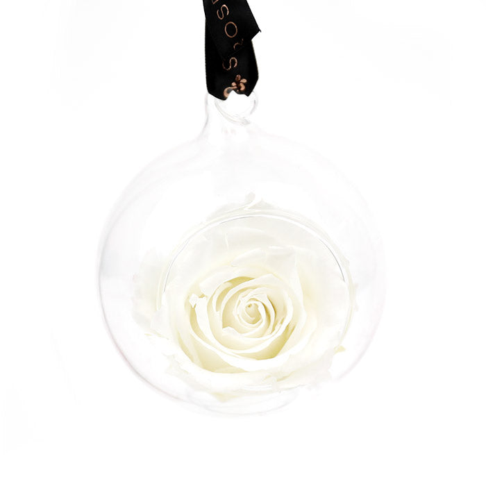 Petals and Roses Preserved Hanging Rose White