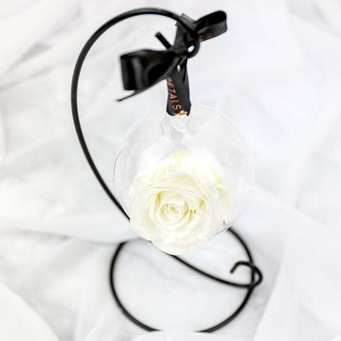 Petals and Roses Preserved Hanging Rose White