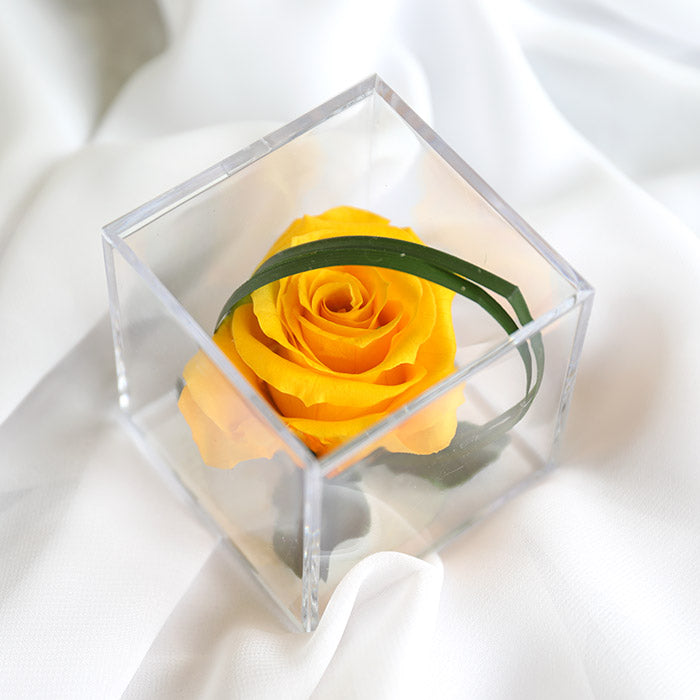 Eternal Yellow Rose in Display Box