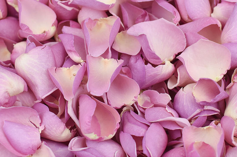 What are petals clearance for