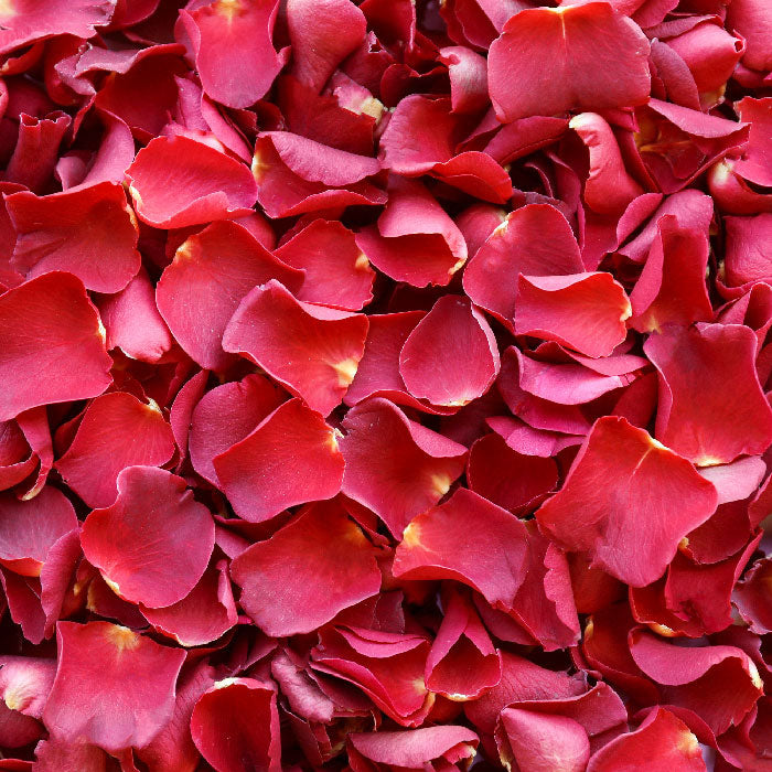 Purpose of deals flower petals