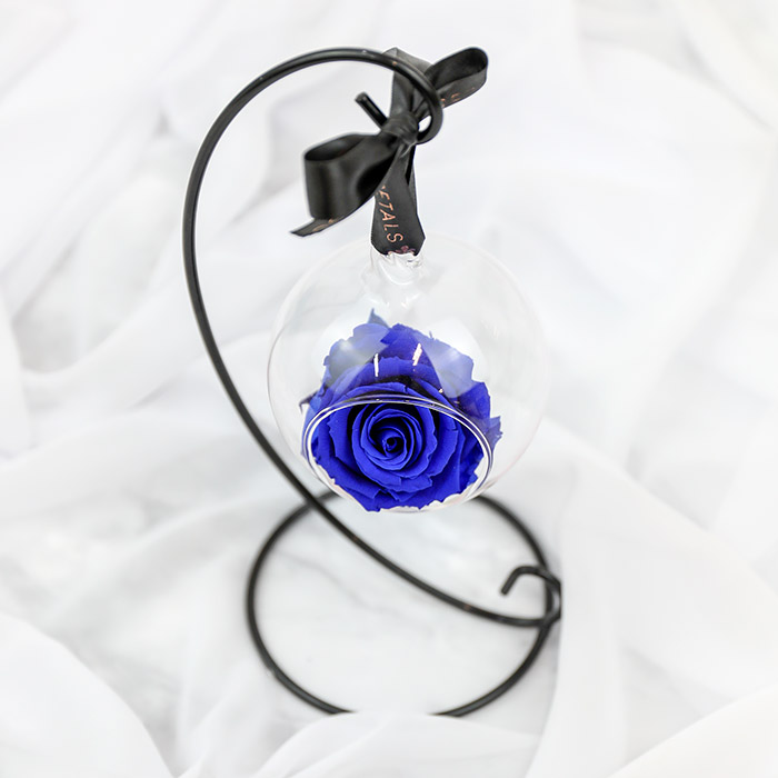 Blue Hanging Preserved Rose with Stand